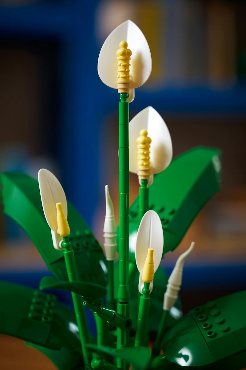 LEGO - 11504 SPATIFILLO LEGO BOTANICALS - 2250017838 LEGO 18 | Trony.it